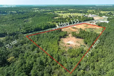 18021 State Highway 155 S, Flint, TX 75762 - Photo 2