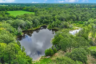 100 (+/-) Acres Fm 773, Grand Saline, TX 75140 - Photo 4
