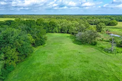 100 (+/-) Acres Fm 773, Grand Saline, TX 75140 - Photo 10