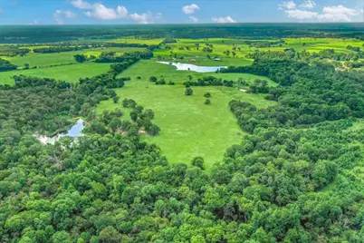 100 (+/-) Acres Fm 773, Grand Saline, TX 75140 - Photo 6