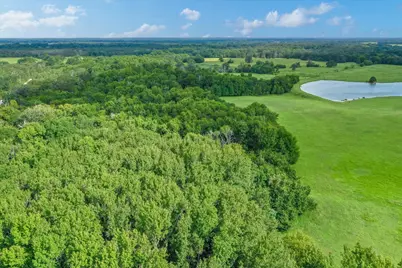 100 (+/-) Acres Fm 773, Grand Saline, TX 75140 - Photo 8