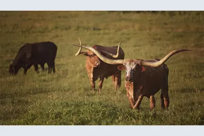 12301 N Holland Street, Eustace, TX 75124 - Photo 1