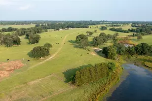 12301 N Holland St, Eustace, TX 75124 - Photo 2