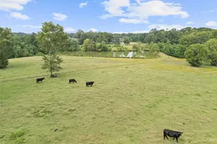 1321 N Fm 1970, Timpson, TX 75975 - Photo 28