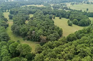 1321 N Fm 1970, Timpson, TX 75975 - Photo 32