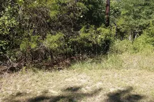 0 Kathy Circle, Malakoff, TX 75148 - Photo 4