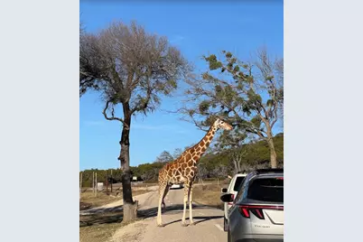 1020 Rose Court, Nemo, TX 76070 - Photo 6