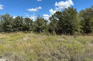 1020 Rose Ct, Nemo, TX 76070 - Photo 2