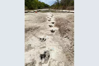 1020 Rose Court, Nemo, TX 76070 - Photo 14