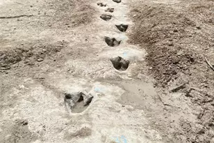 1020 Rose Ct, Nemo, TX 76070 - Photo 14