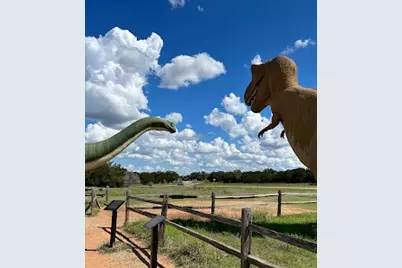 1020 Rose Court, Nemo, TX 76070 - Photo 12