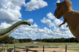 1020 Rose Ct, Nemo, TX 76070 - Photo 12