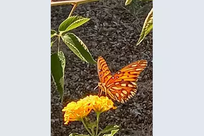 306 W Brin Street, Terrell, TX 75160 - Photo 30