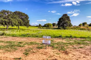 Sundance Tbd Three Quarter Loop, Poolville, TX 76487 - Photo 12