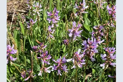 16730 Ridgeline Loop, Winona, TX 75792 - Photo 10