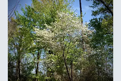 16730 Ridgeline Loop, Winona, TX 75792 - Photo 6