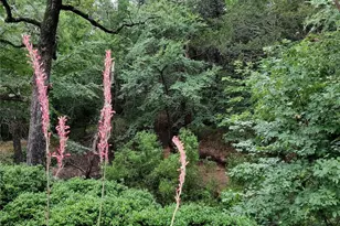 161 Colt Dr, Sadler, TX 76264 - Photo 18