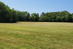 161 Colt Dr, Sadler, TX 76264 - Photo 22