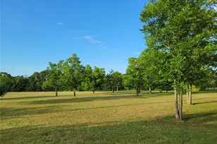 161 Colt Dr, Sadler, TX 76264 - Photo 16