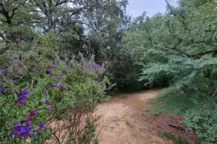 161 Colt Dr, Sadler, TX 76264 - Photo 12