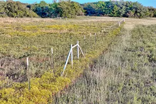 469 Merritt Rd, Forestburg, TX 76239 - Photo 26