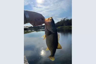 5327 Dusty Road, Athens, TX 75752 - Photo 34