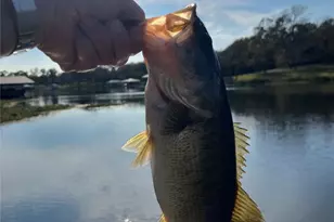 5327 Dusty Rd, Athens, TX 75752 - Photo 34