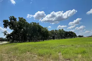 101 Pharris Ct, Weatherford, TX 76087 - Photo 6