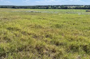 3688 N Fm 1655, Alvord, TX 76225 - Photo 1