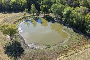 13512 County Road 2160, Kerens, TX 75144 - Photo 36