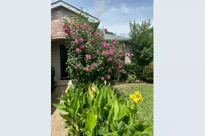 721 Bray Street, Cedar Hill, TX 75104 - Photo 14