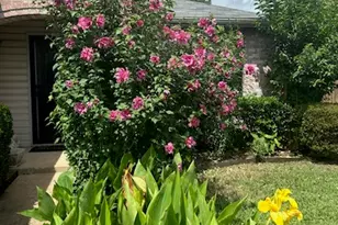 721 Bray St, Cedar Hill, TX 75104 - Photo 14