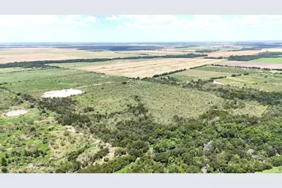 1127 Limestone County Road 607, Groesbeck, TX 76642 - Photo 14