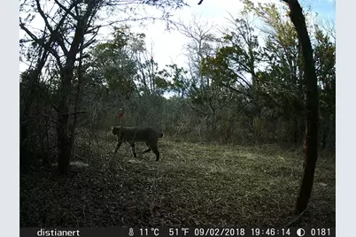 2516 County Road 328, Glen Rose, TX 76043 - Photo 16