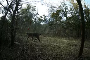 2516 Co Rd 328, Glen Rose, TX 76043 - Photo 16