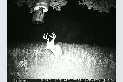 2516 County Road 328, Glen Rose, TX 76043 - Photo 18