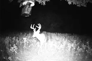 2516 Co Rd 328, Glen Rose, TX 76043 - Photo 18