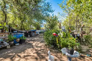 709 N Ewing Ave, Dallas, TX 75203 - Photo 16