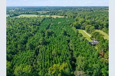 Tbd Cat Road, Gilmer, TX 75644 - Photo 6