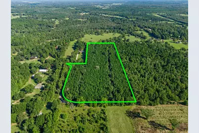 Tbd Cat Road, Gilmer, TX 75644 - Photo 14