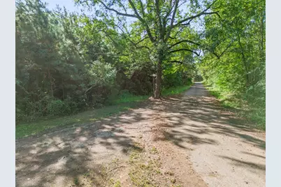 Tbd Cat Road, Gilmer, TX 75644 - Photo 4