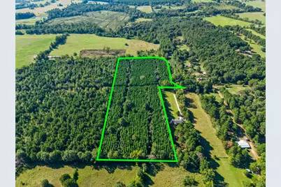 Tbd Cat Road, Gilmer, TX 75644 - Photo 18
