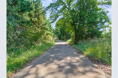 Tbd Cat Road, Gilmer, TX 75644 - Photo 1