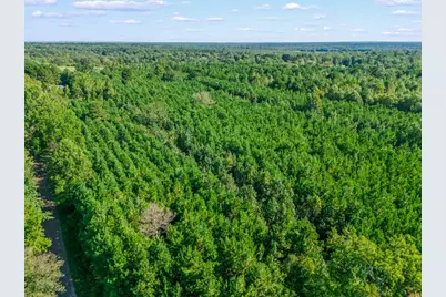 Tbd Cat Road, Gilmer, TX 75644 - Photo 22