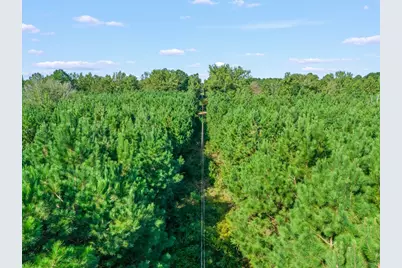 Tbd Cat Road, Gilmer, TX 75644 - Photo 8