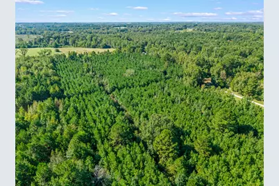 Tbd Cat Road, Gilmer, TX 75644 - Photo 12