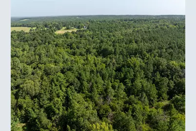 Nw County Road 1713, Jacksonville, TX 75766 - Photo 4