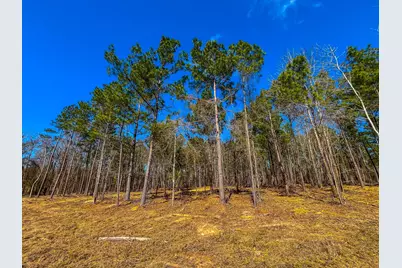 Nw County Road 1713, Jacksonville, TX 75766 - Photo 24