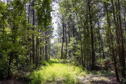 Nw County Road 1713, Jacksonville, TX 75766 - Photo 22