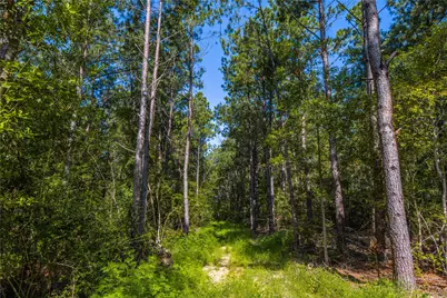 Nw County Road 1713, Jacksonville, TX 75766 - Photo 8
